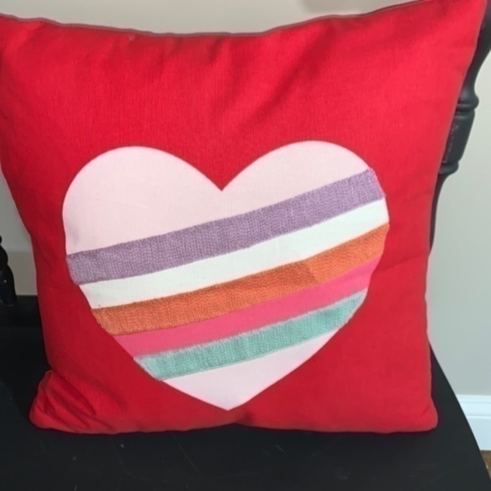 Spirit Decorative pillow . 16 inches x 16 inches. NWT